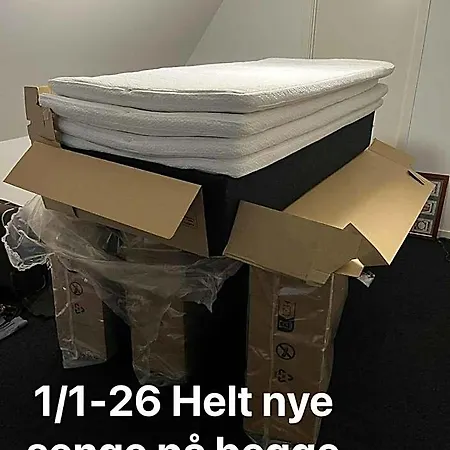 Hoshelle Ribe